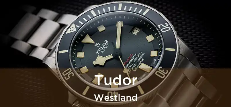  Tudor Westland