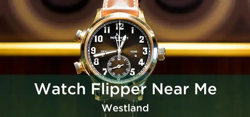  Watch Flipper Near Me Westland